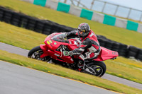 PJ-Motorsport-2019;anglesey-no-limits-trackday;anglesey-photographs;anglesey-trackday-photographs;enduro-digital-images;event-digital-images;eventdigitalimages;no-limits-trackdays;peter-wileman-photography;racing-digital-images;trac-mon;trackday-digital-images;trackday-photos;ty-croes